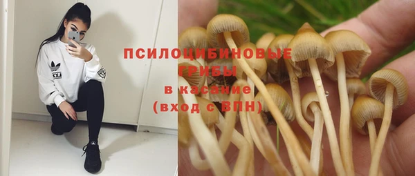 не бодяженный Сафоново
