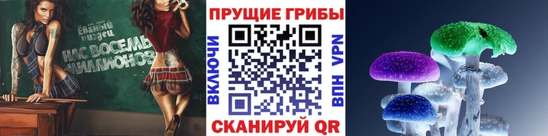 Псилоцибиновые грибы Magic Shrooms  Барыш 
